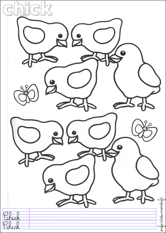 coloriage poussin